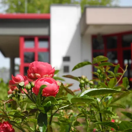 فندق Rosen-hotel