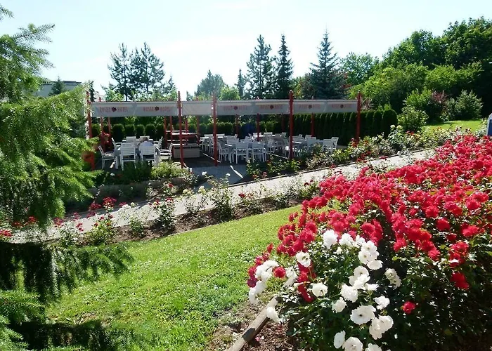 Rosen-hotel Hotell Sangerhausen